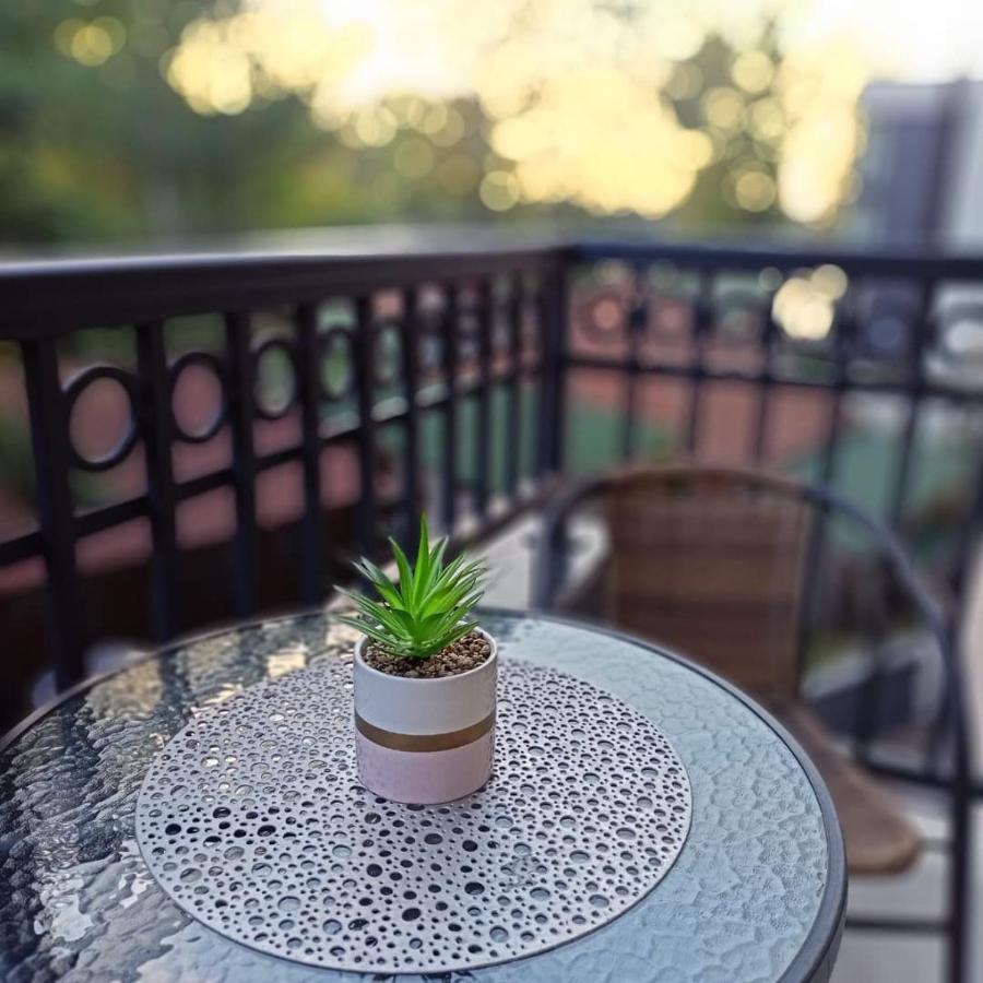 Apartman 3N Veliko Gradište 外观 照片